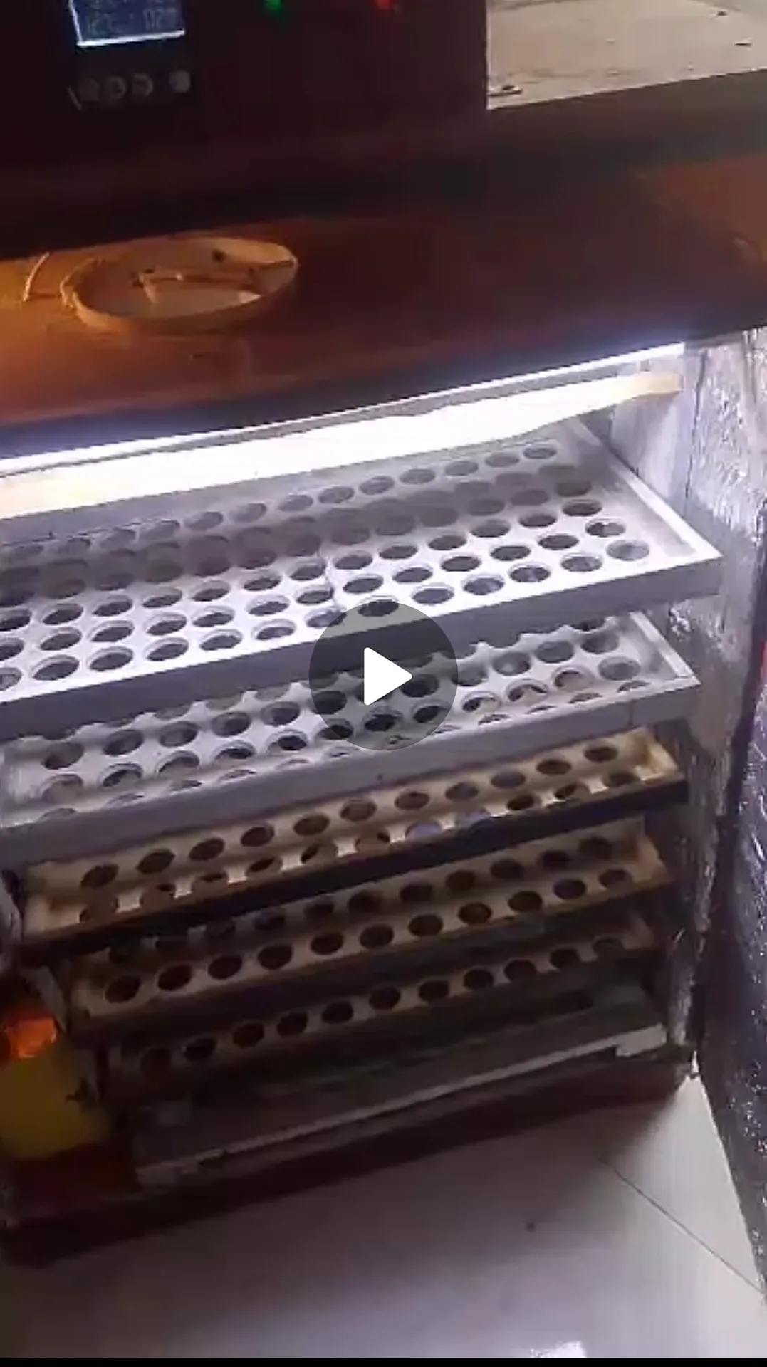فقاسة بيض فل أوتوماتيك