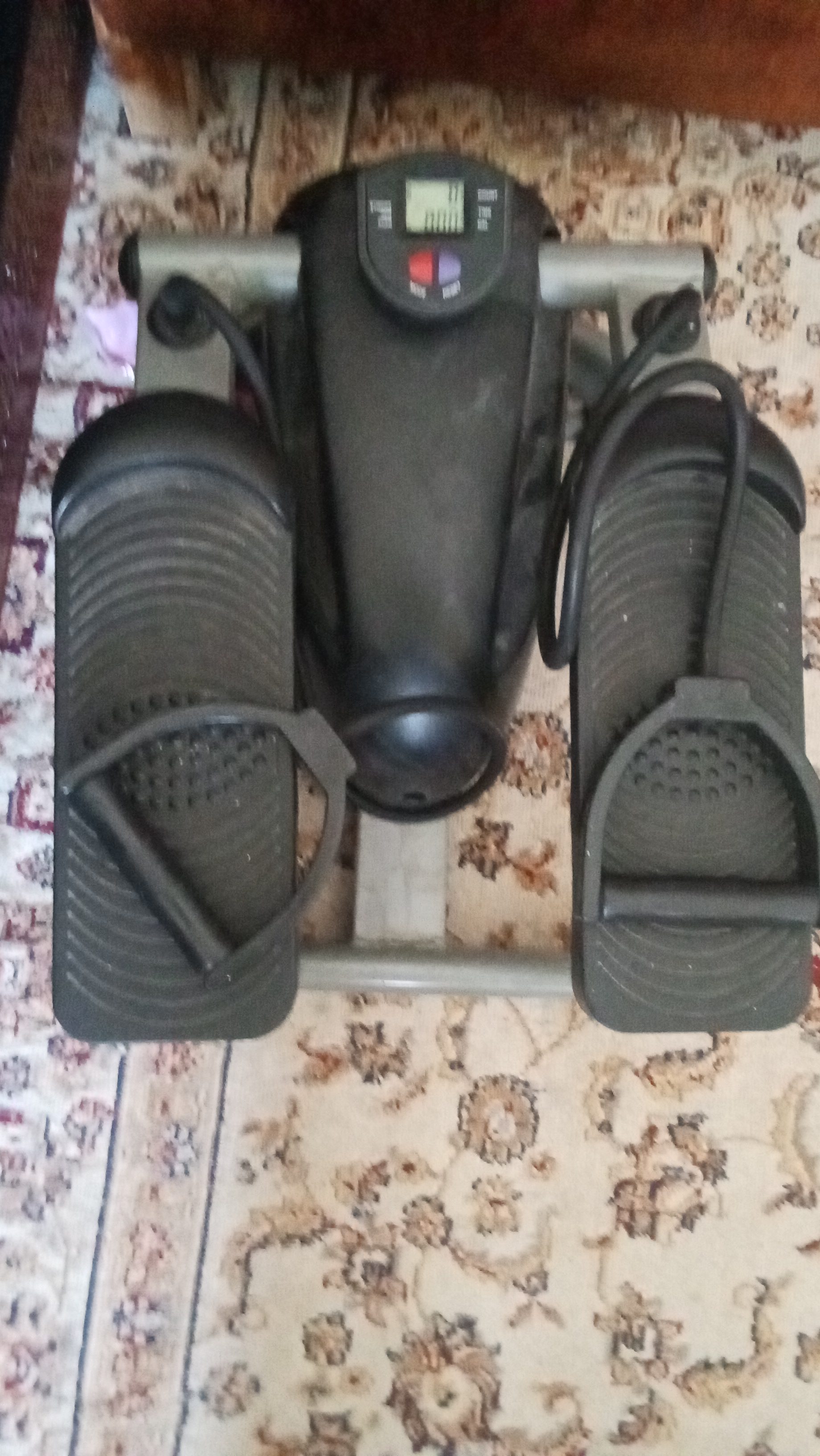 لي رياضة وترويض