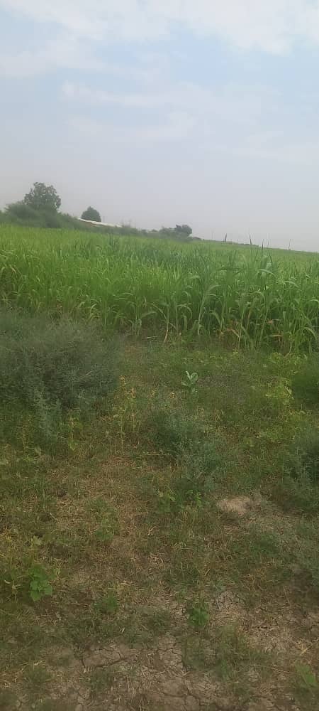 للبيع ارض زراعيه خلويه مساحه(200 فدان فيها عدد 2 بير ارتوازيه و٢غرفة طوب حراري + اعمدا شبكه ري بالتنقيط ارضيه مسطحه وجواره مشاريع تبعد عن شارع الأسفلت