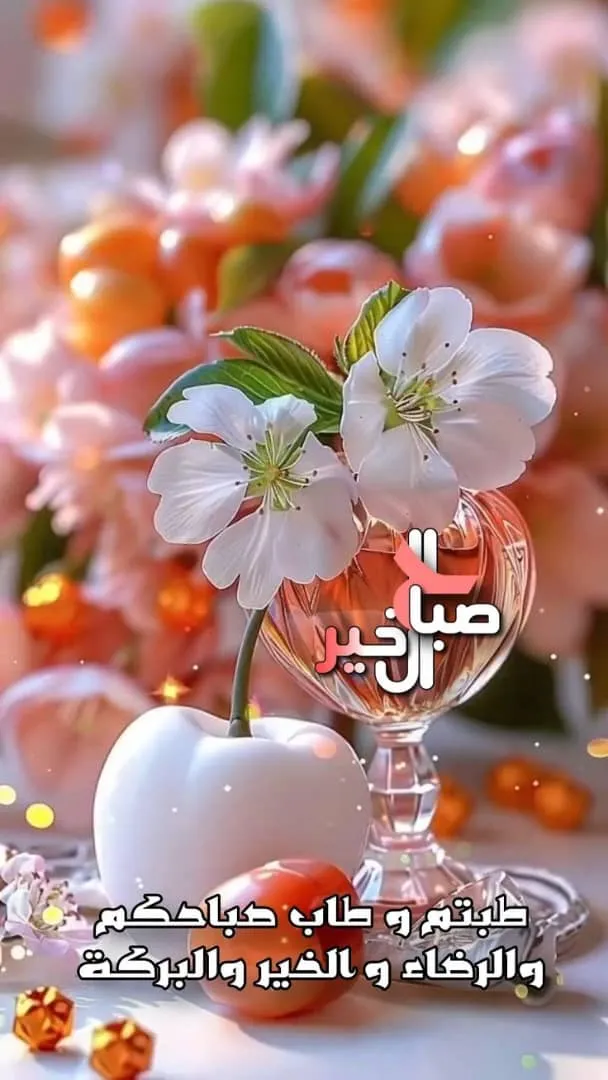 500 فدان الشماليه القولد مسطحه وخصبه