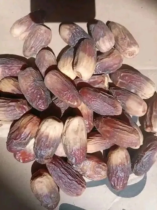 ارض زراعية الشماليه القولد للبيع