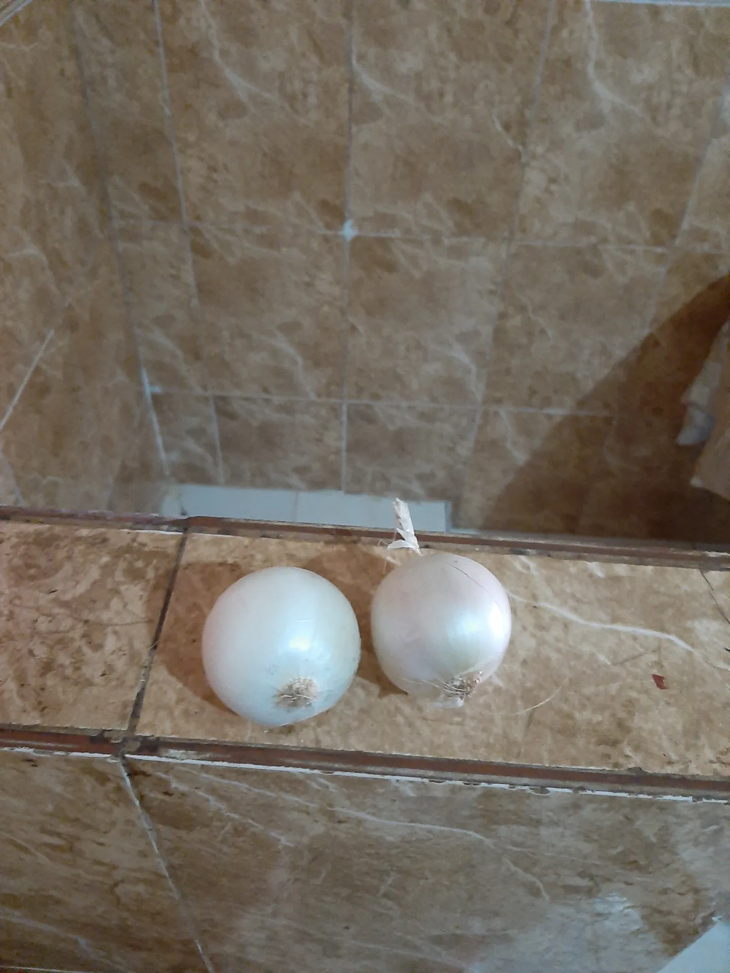 سوق الخضر والفيلا بل جملا وتفصيل
