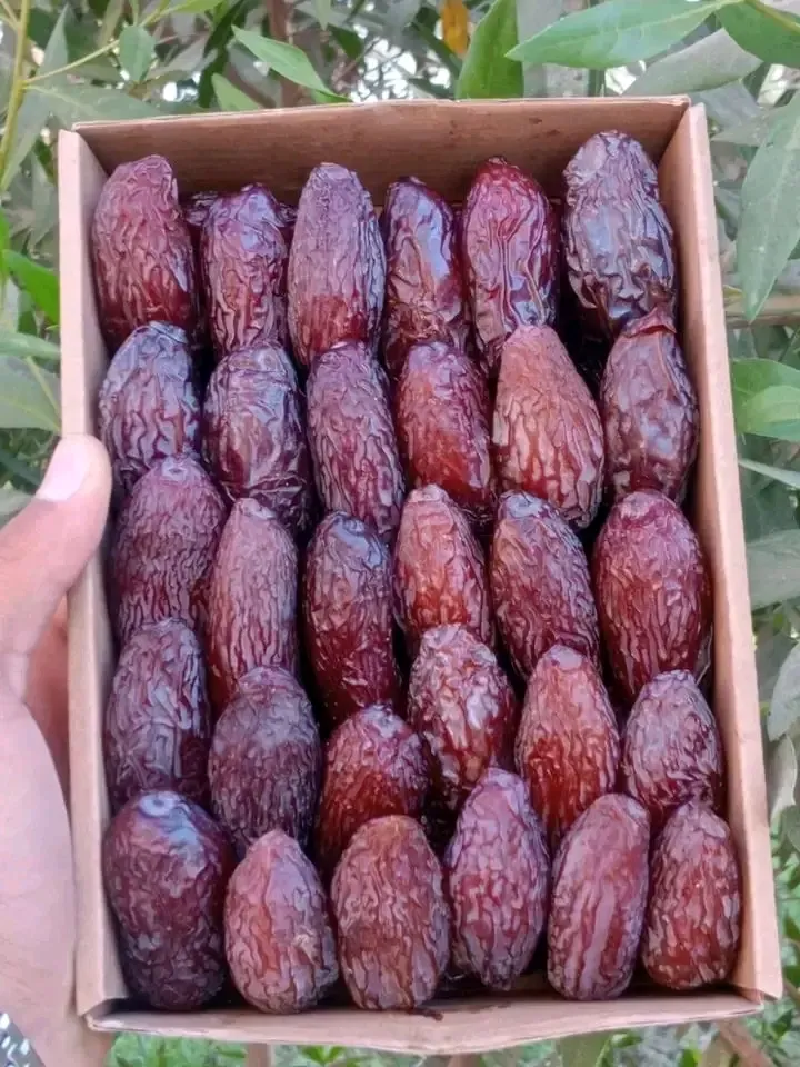 تمر المجهول