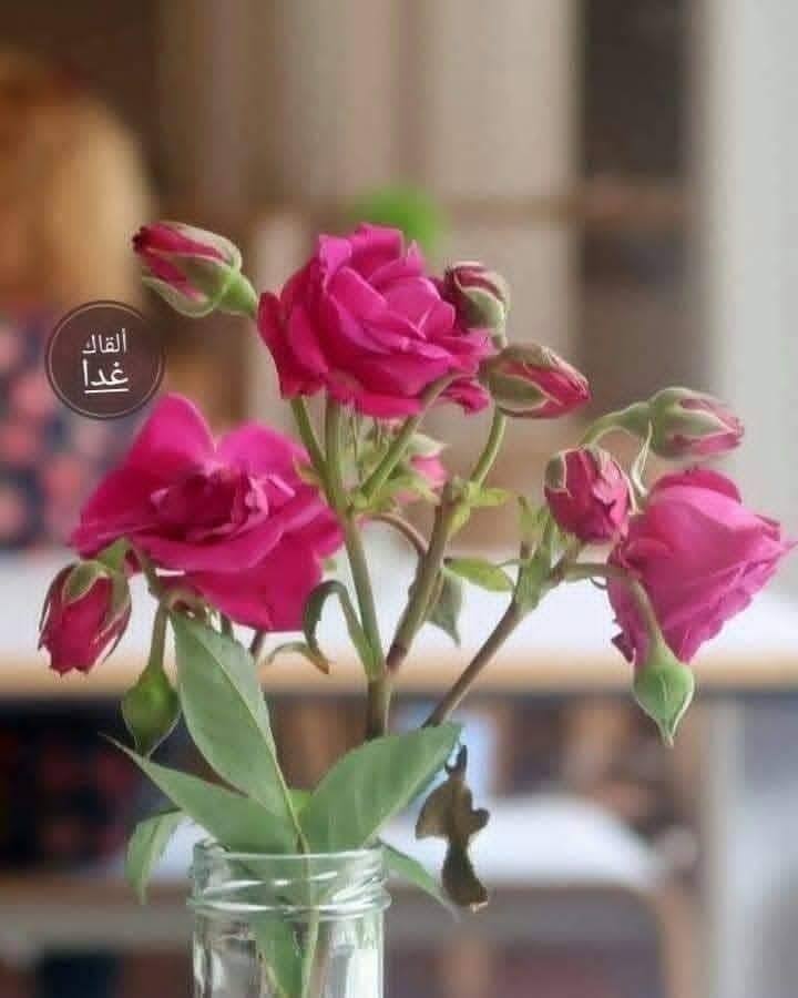 🎯 للبيع بيت ارضي موسس والعمده فوق به تلات غرف وصاله ن وصاله وبرنده وحوش كبير 400 ناصيه تلات شوارع شرق النيل حى الهدى مربع ٧ اقرب لشارع القذافى السع